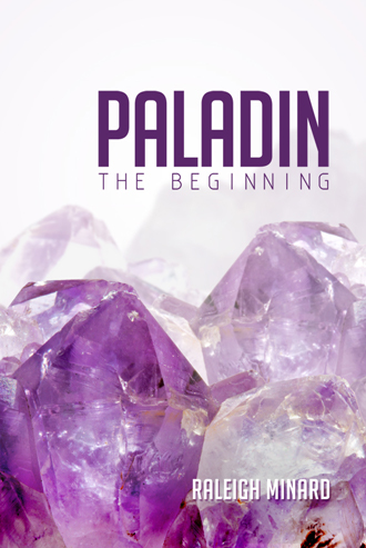 Paladin: The Beginning