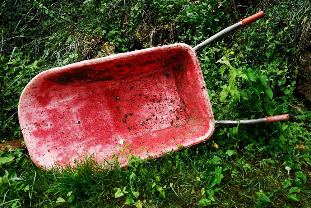 red wheelbarrow