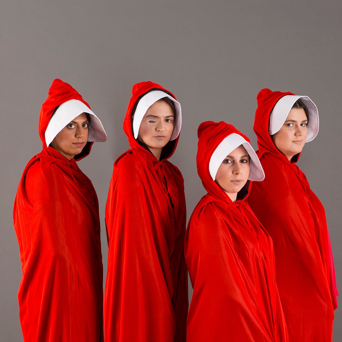 handmaid's tale - Dorrance Publishing Company