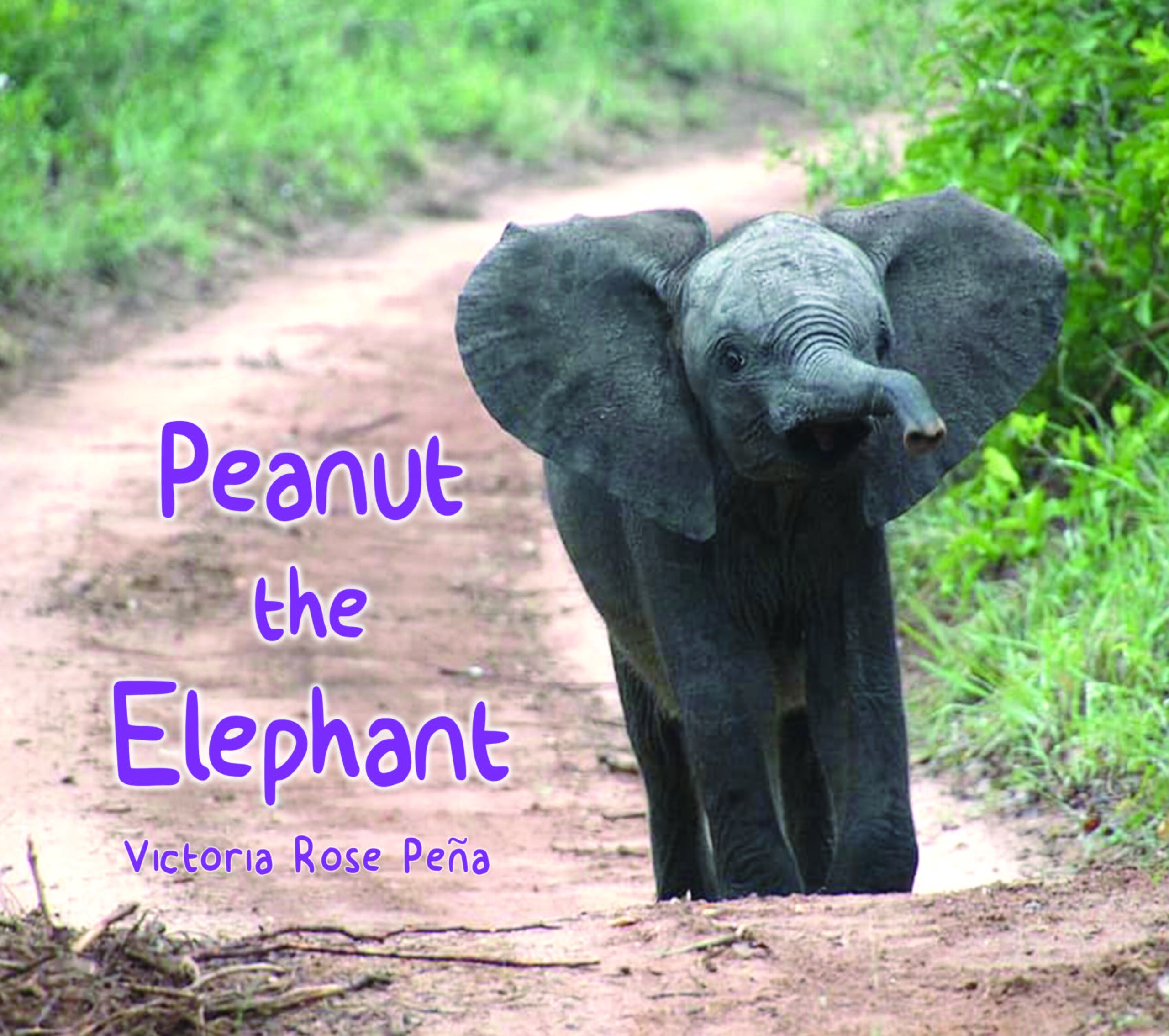 Peanut the Elephant