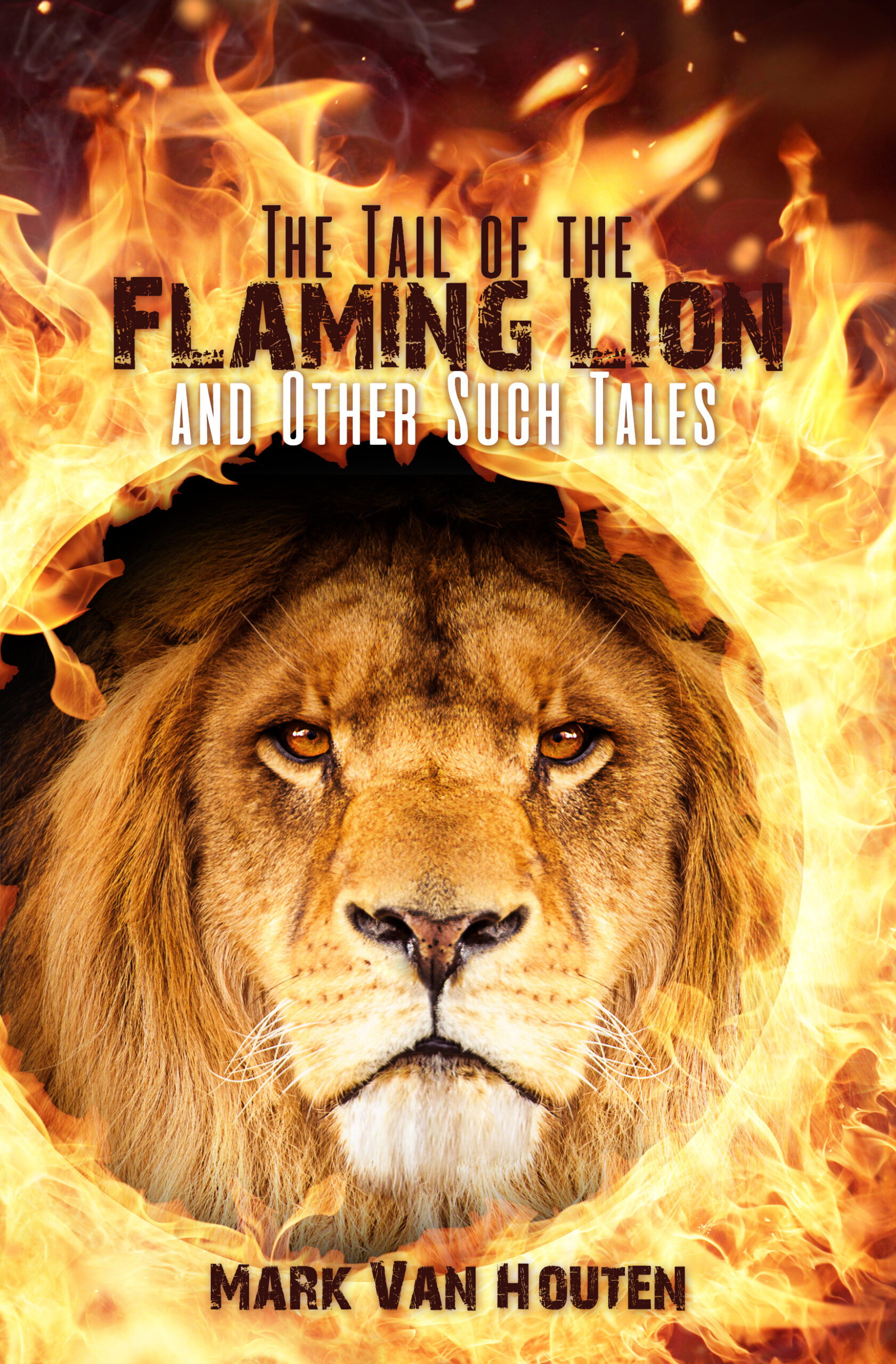 The Tail of the Flaming Lion