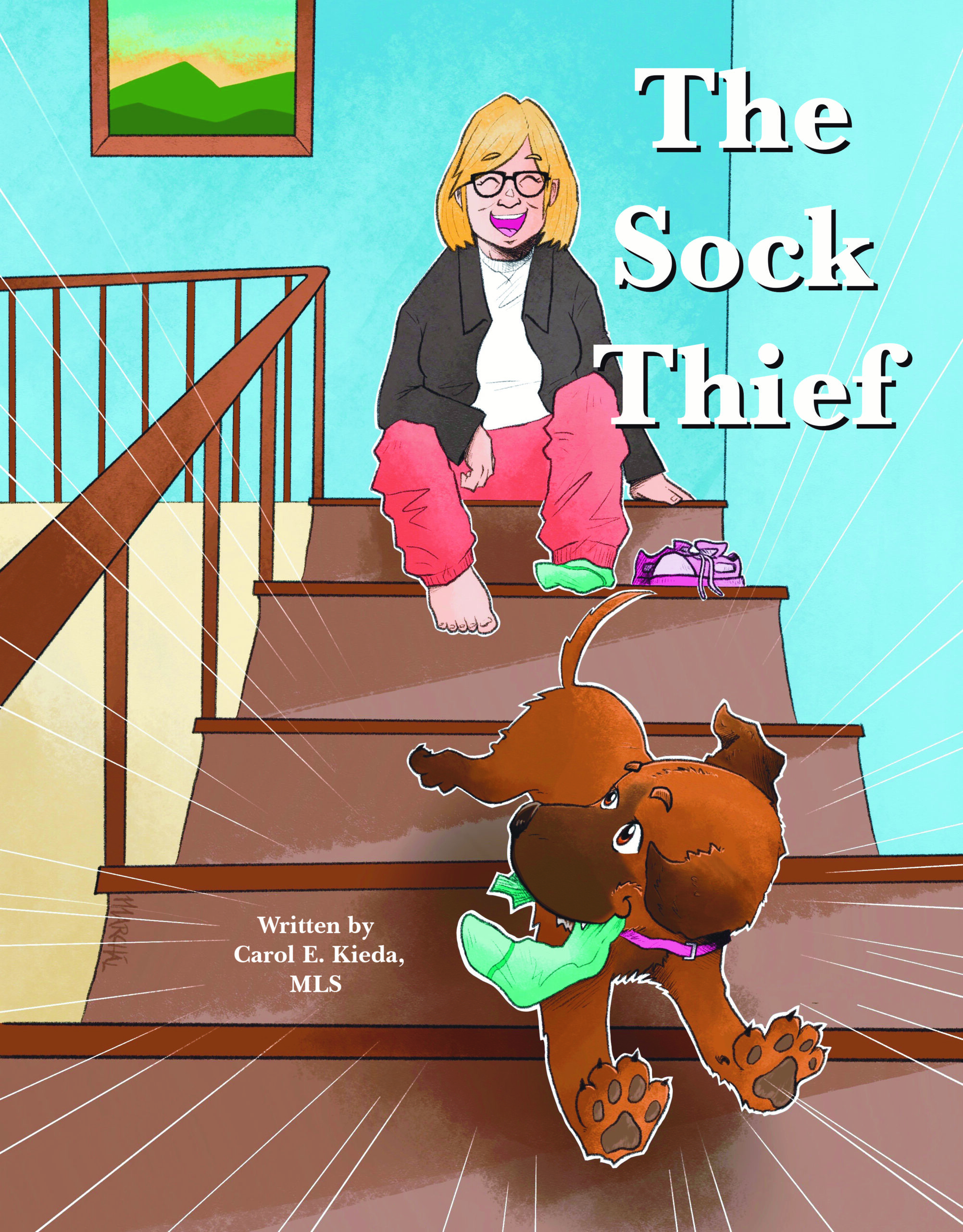 The Sock Thief