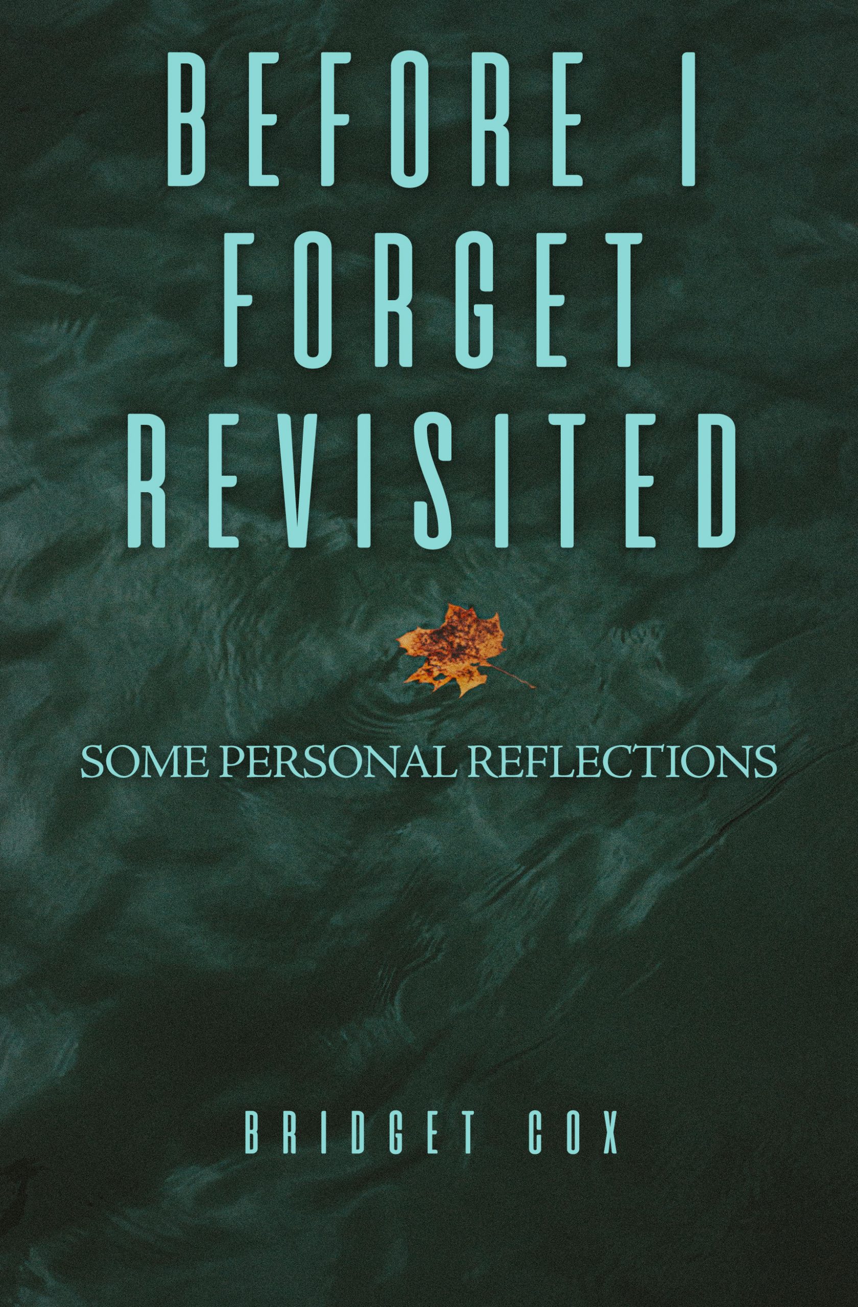 Before I Forget Revisited