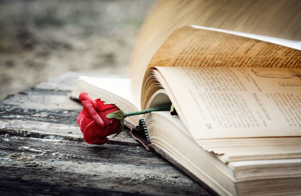 Dorrance Writing For Your Audience Romance 3 Dorrance Writing For Your Audience Romance 3