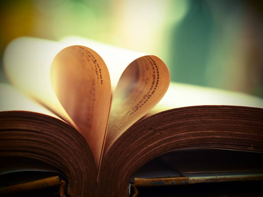 Dorrance Writing For Your Audience Romance 4 Dorrance Writing For Your Audience Romance 4